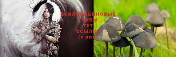 прущий лед Балабаново