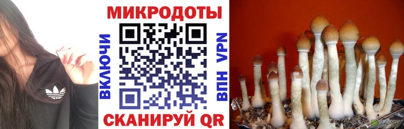 блэк спрут зеркало  Крымск  Галлюциногенные грибы Magic Shrooms 